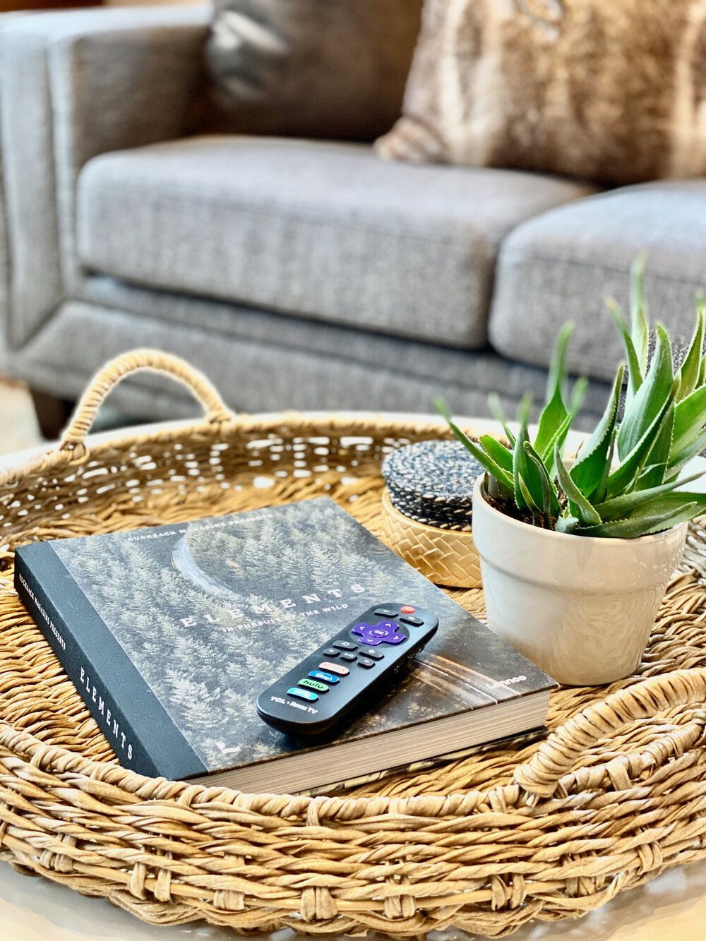 Woven tray on the coffee table holding a book, a potted succulent and the smart TV remote