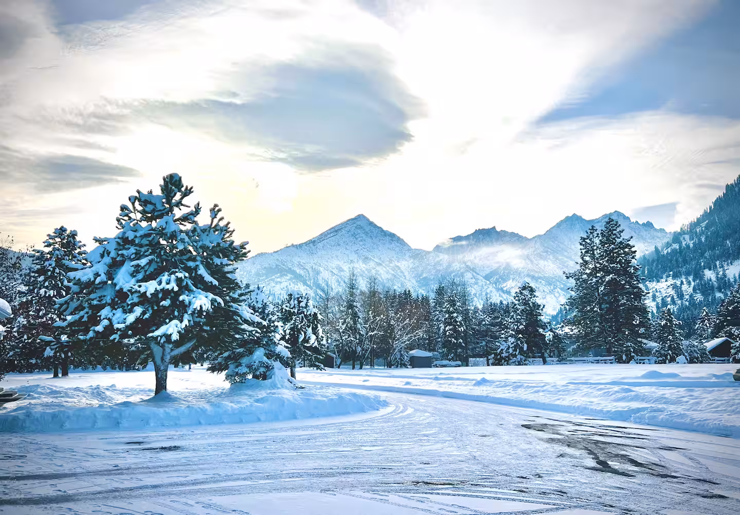 Snow-covered pines and the Cascade peaks under morning light, a short walk from The Cascade Chalet